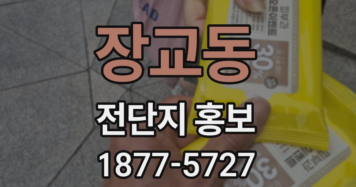 장교동 전단지 홍보