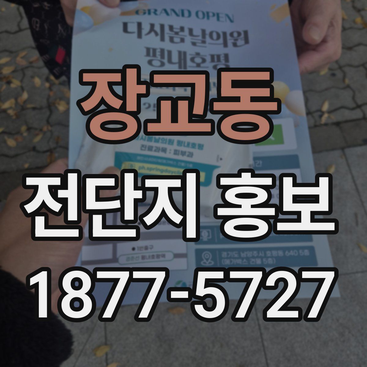 장교동 전단지 홍보