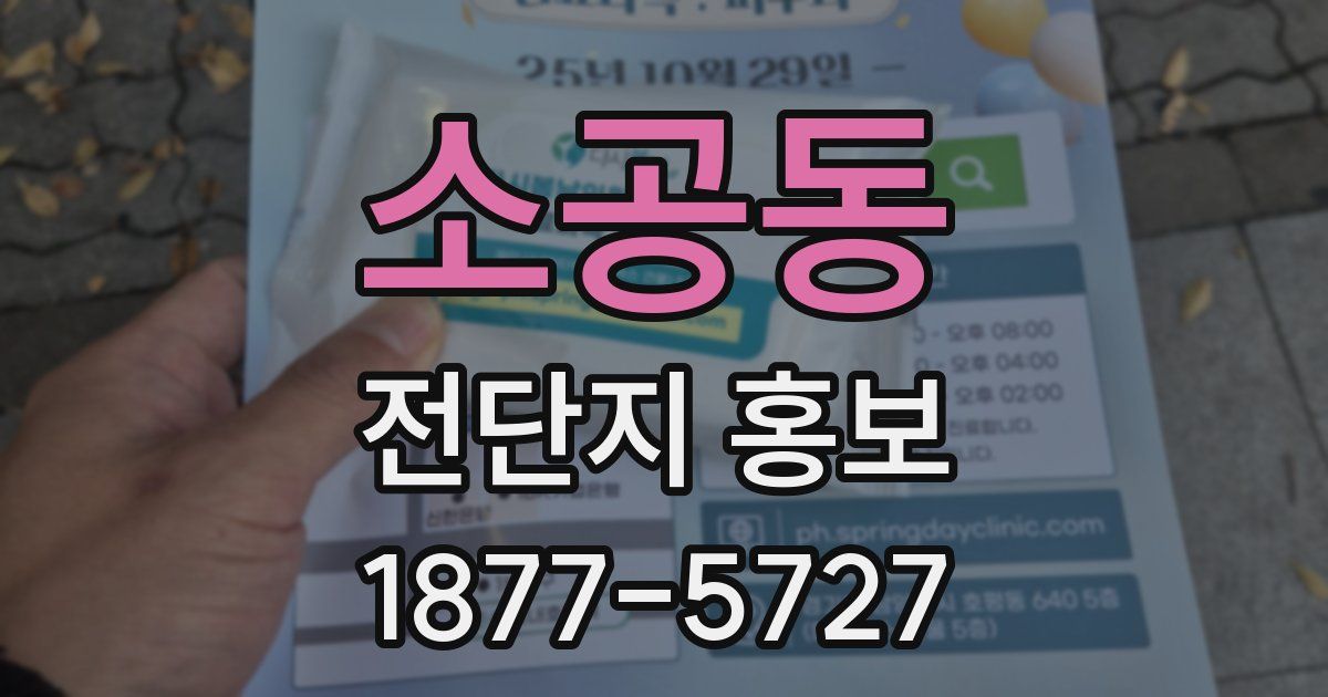 소공동 전단지 홍보