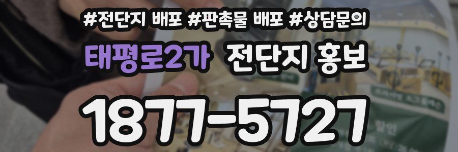 태평로2가 전단지 홍보