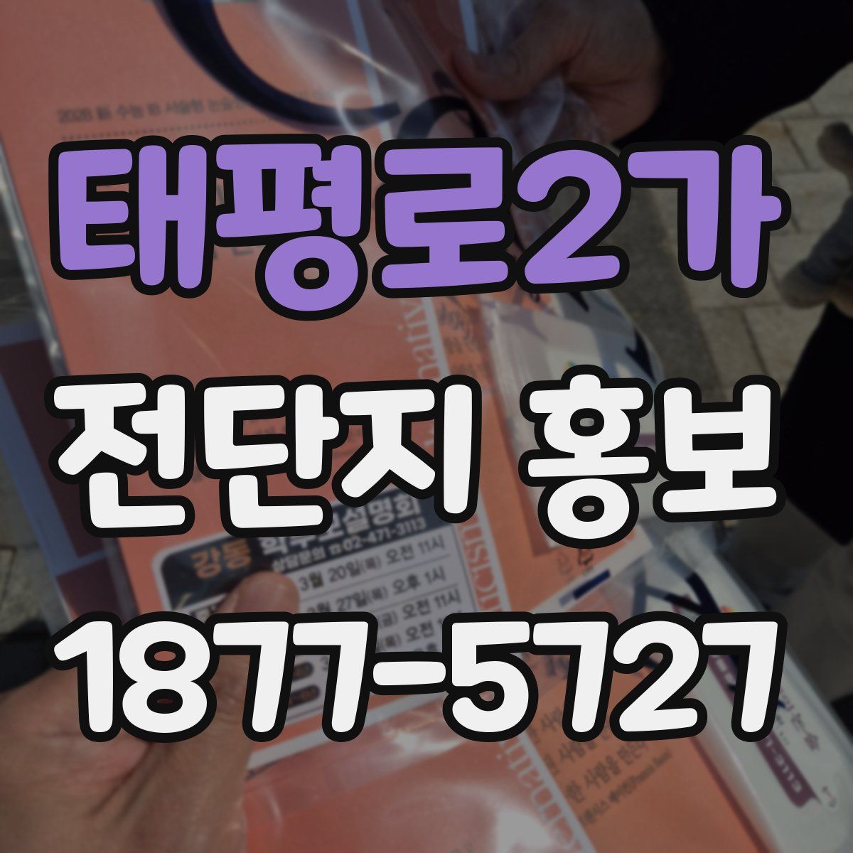 태평로2가 전단지 홍보