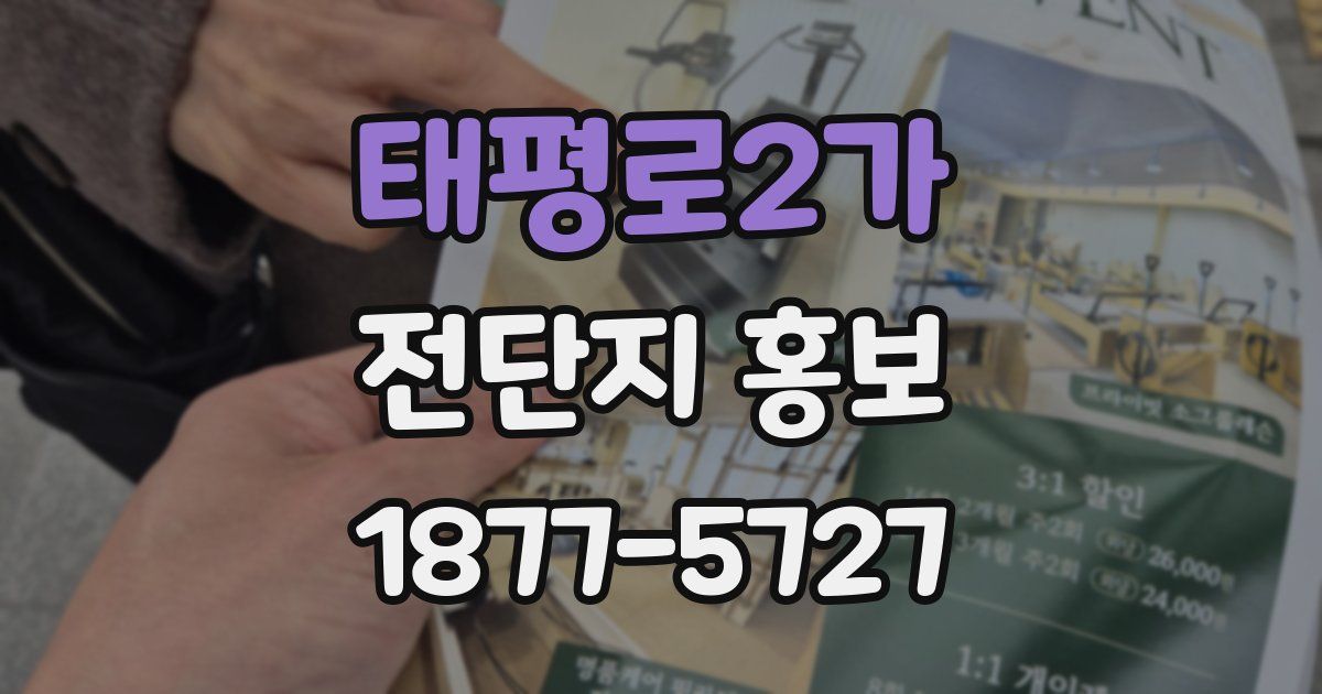 태평로2가 전단지 홍보
