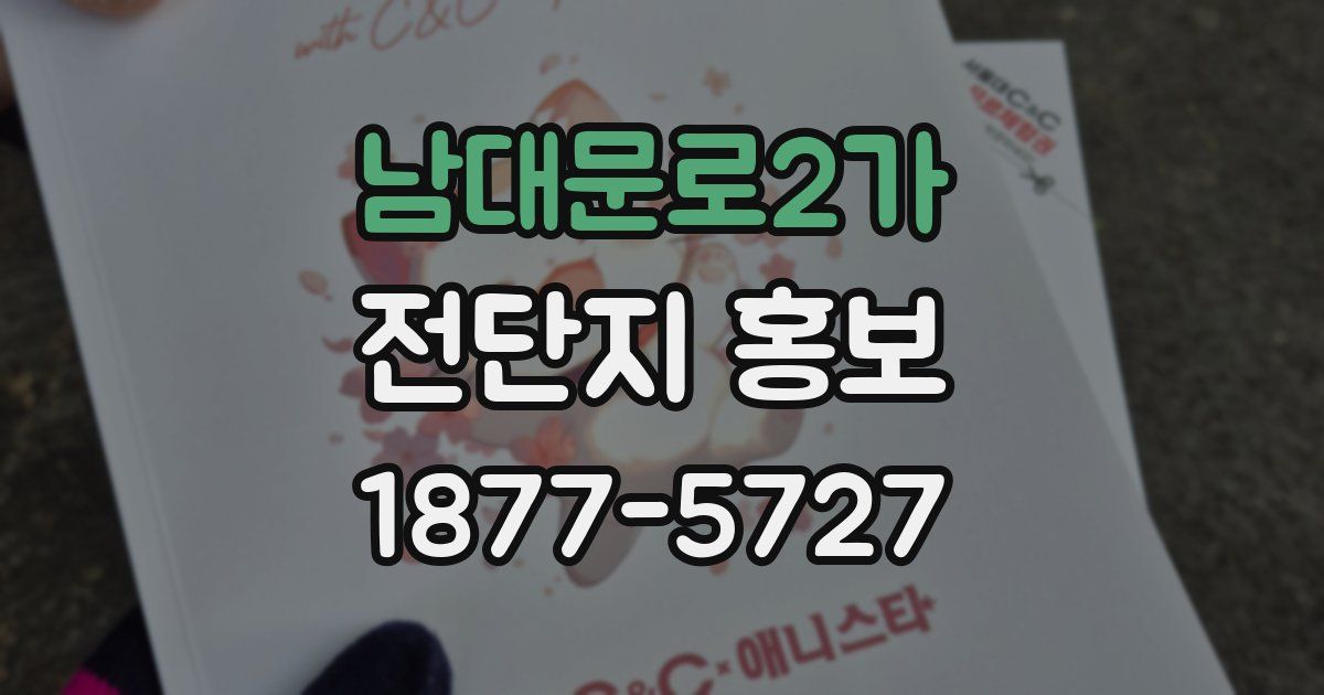 남대문로2가 전단지 홍보
