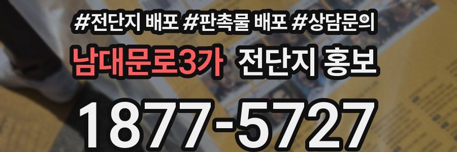 남대문로3가 전단지 홍보