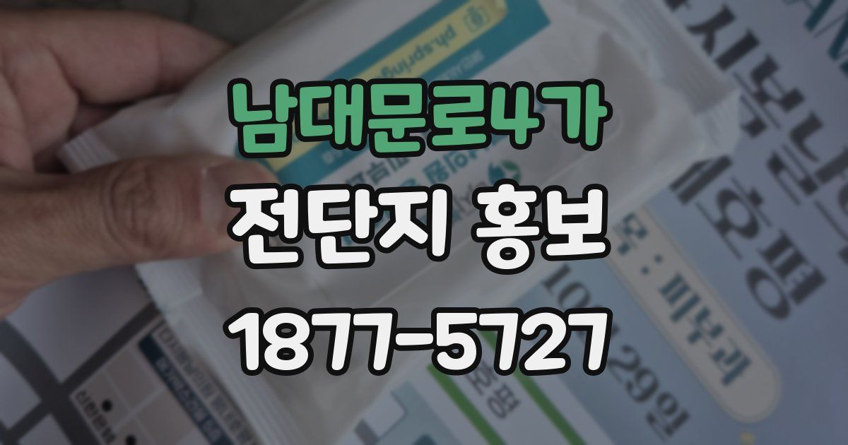 남대문로4가 전단지 홍보