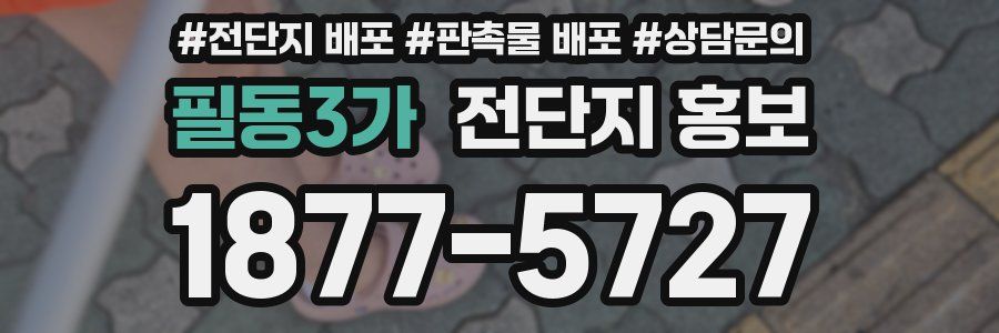 필동3가 전단지 홍보
