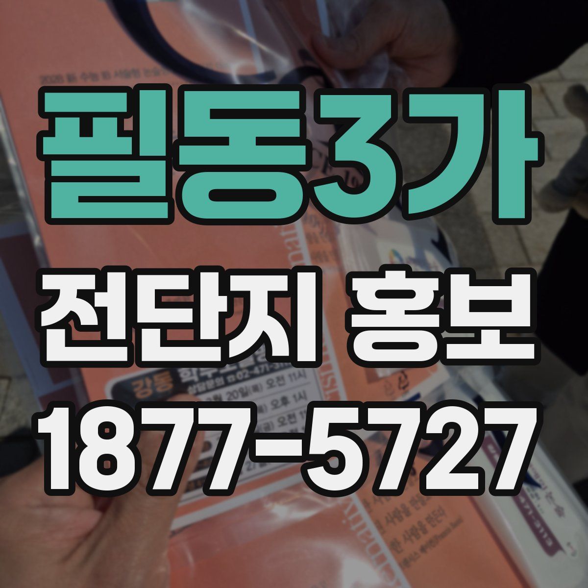 필동3가 전단지 홍보