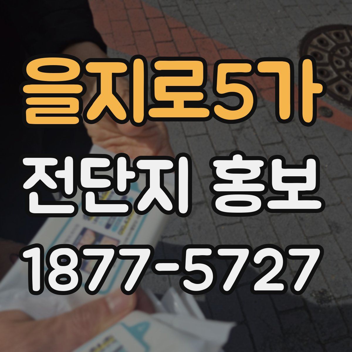 을지로5가 전단지 홍보