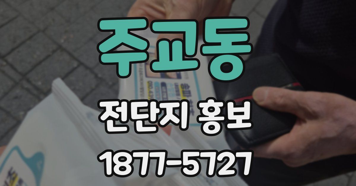 주교동 전단지 홍보