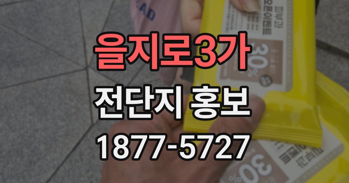 을지로3가 전단지 홍보