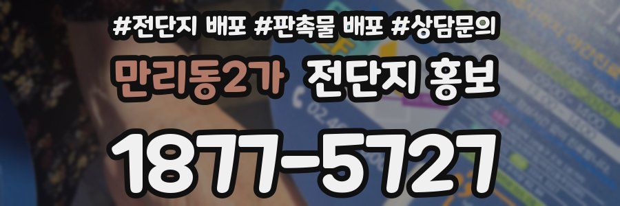 만리동2가 전단지 홍보