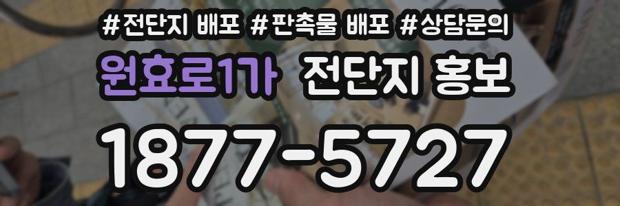 원효로1가 전단지 홍보