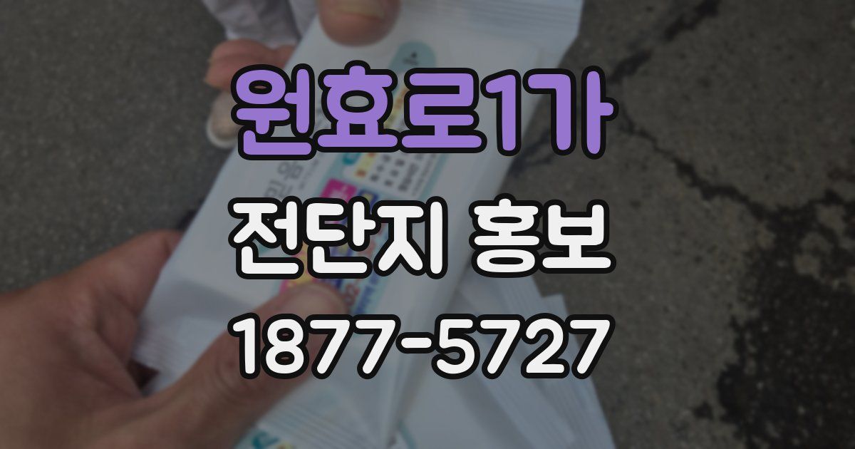 원효로1가 전단지 홍보