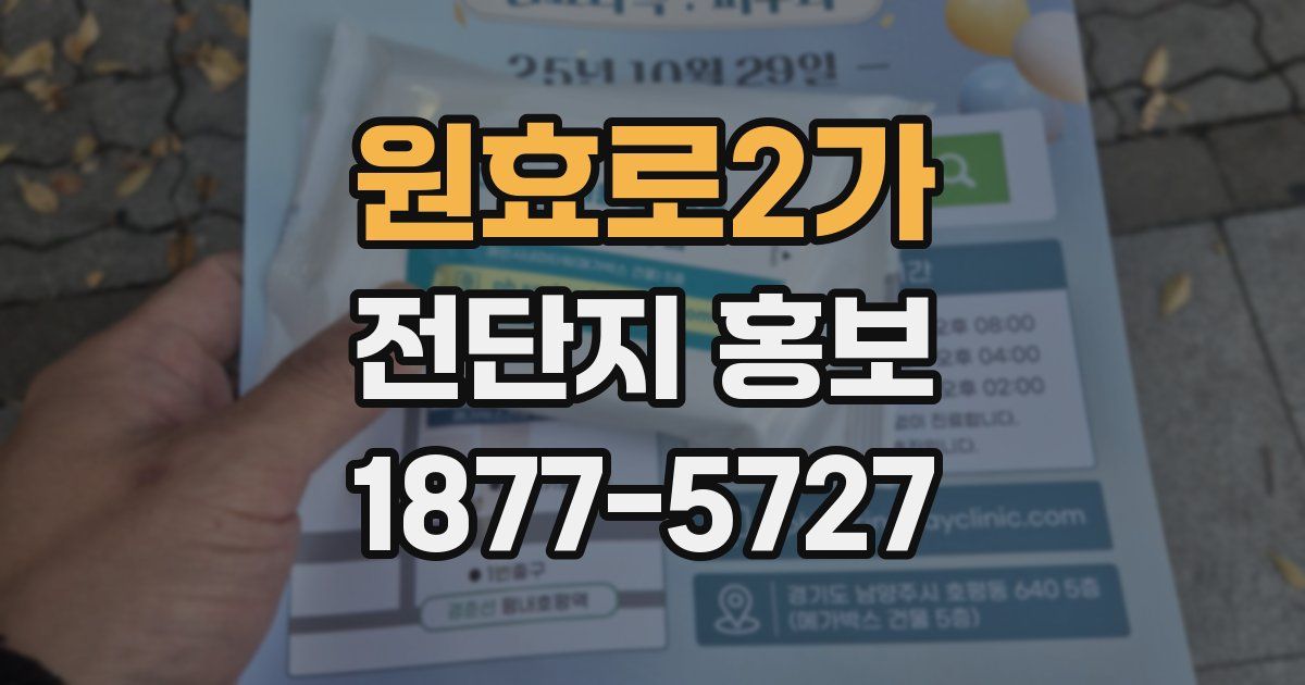 원효로2가 전단지 홍보