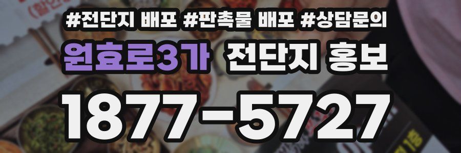 원효로3가 전단지 홍보