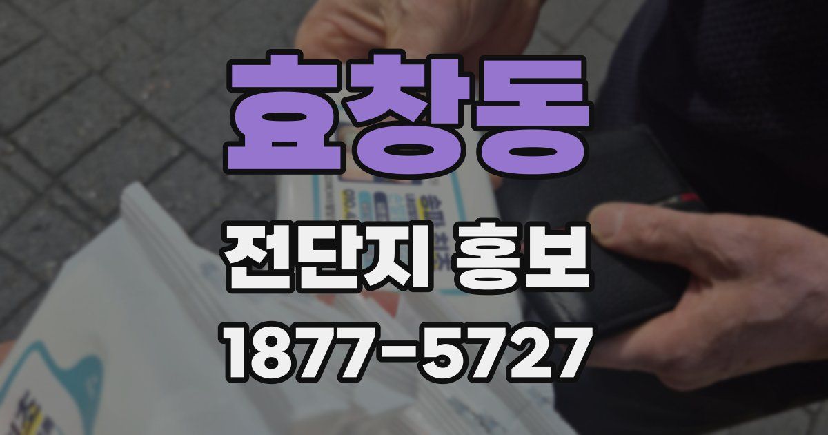 효창동 전단지 홍보