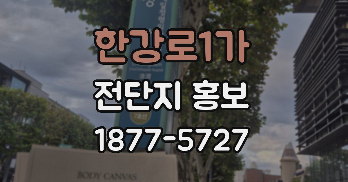 한강로1가 전단지 홍보
