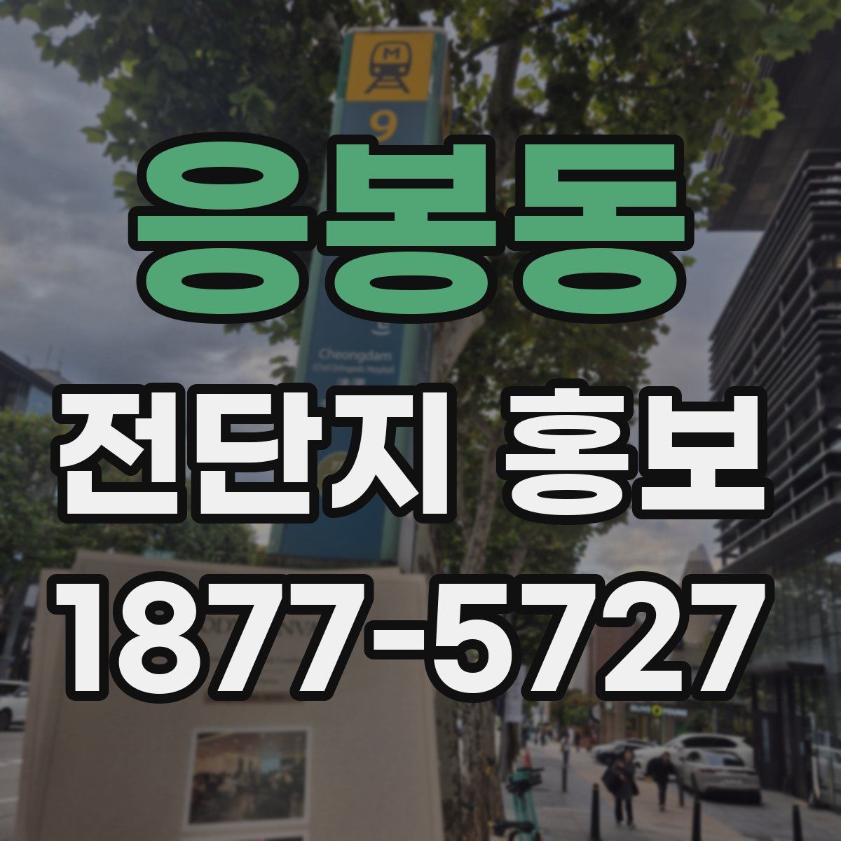 응봉동 전단지 홍보