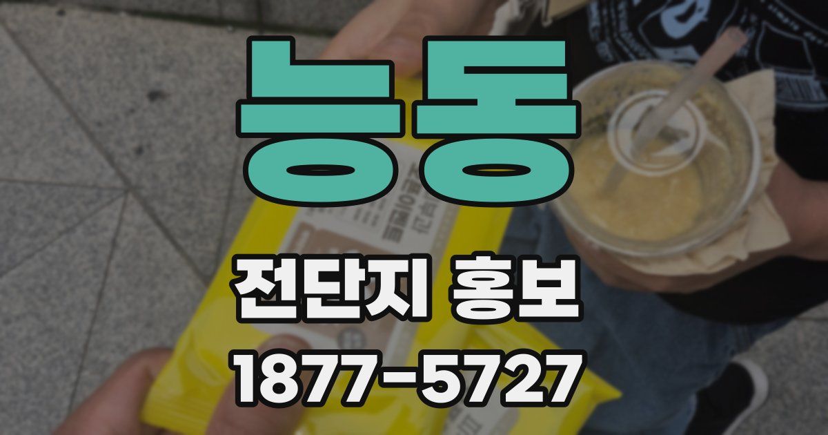 능동 전단지 홍보