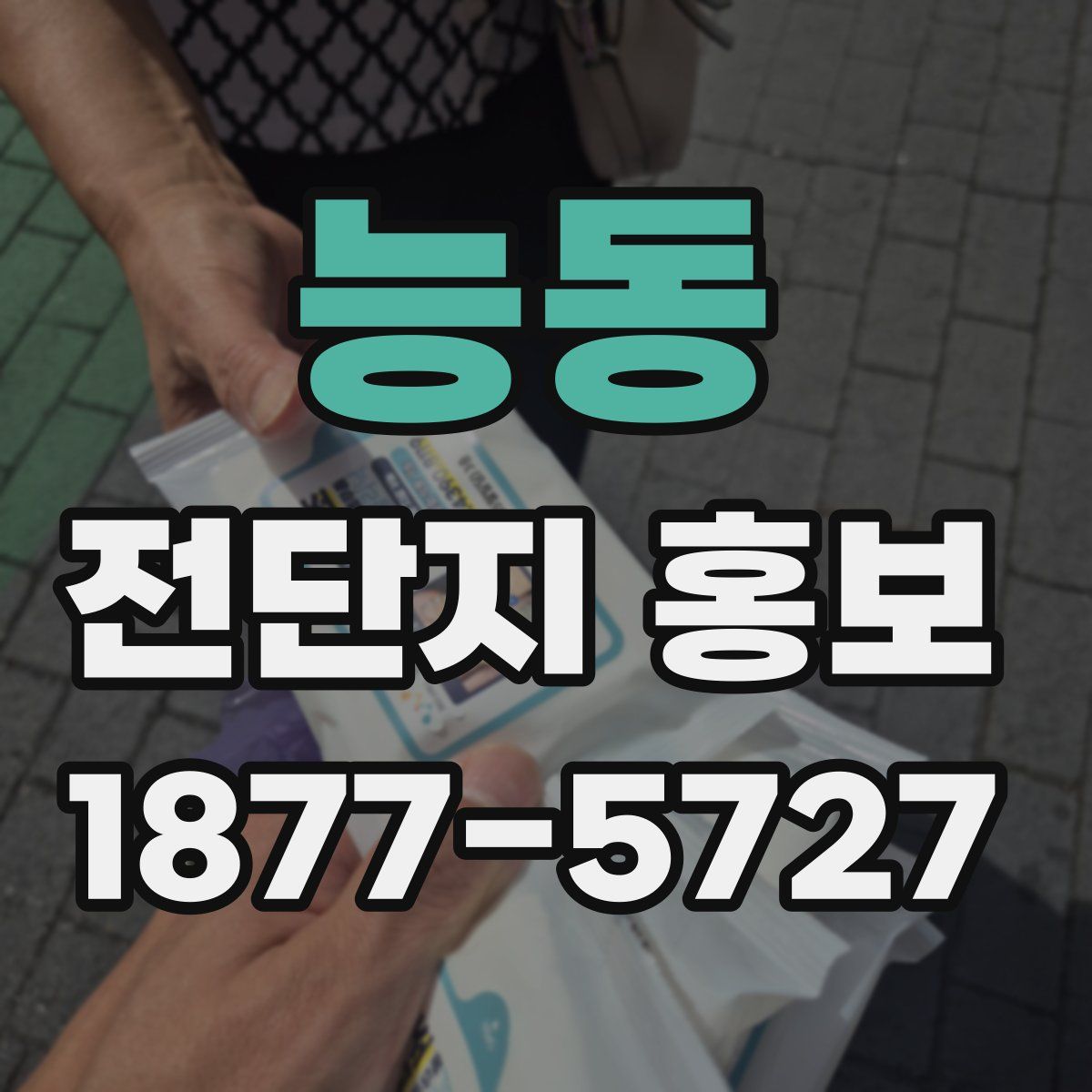 능동 전단지 홍보