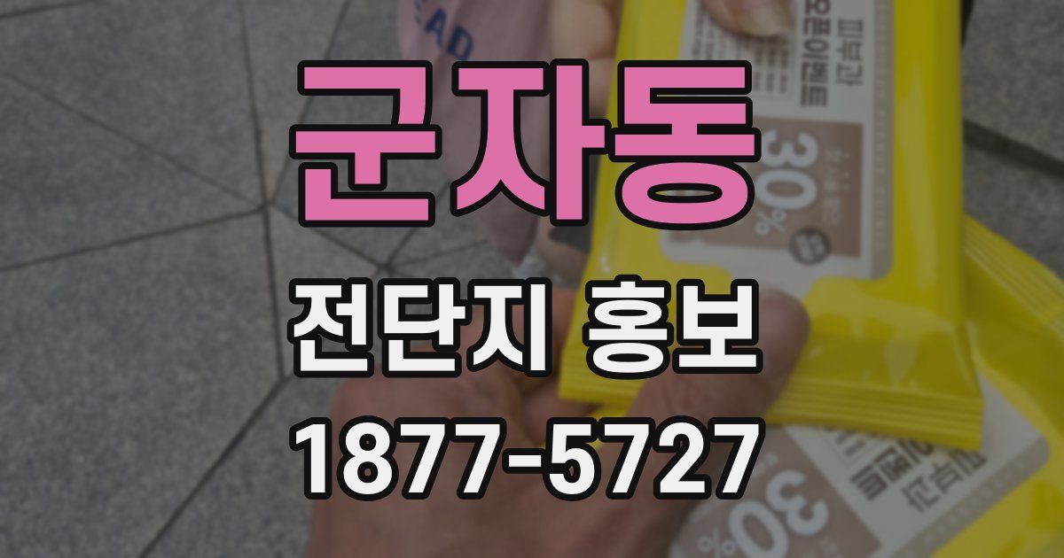 군자동 전단지 홍보