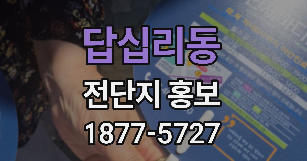 답십리동 전단지 홍보