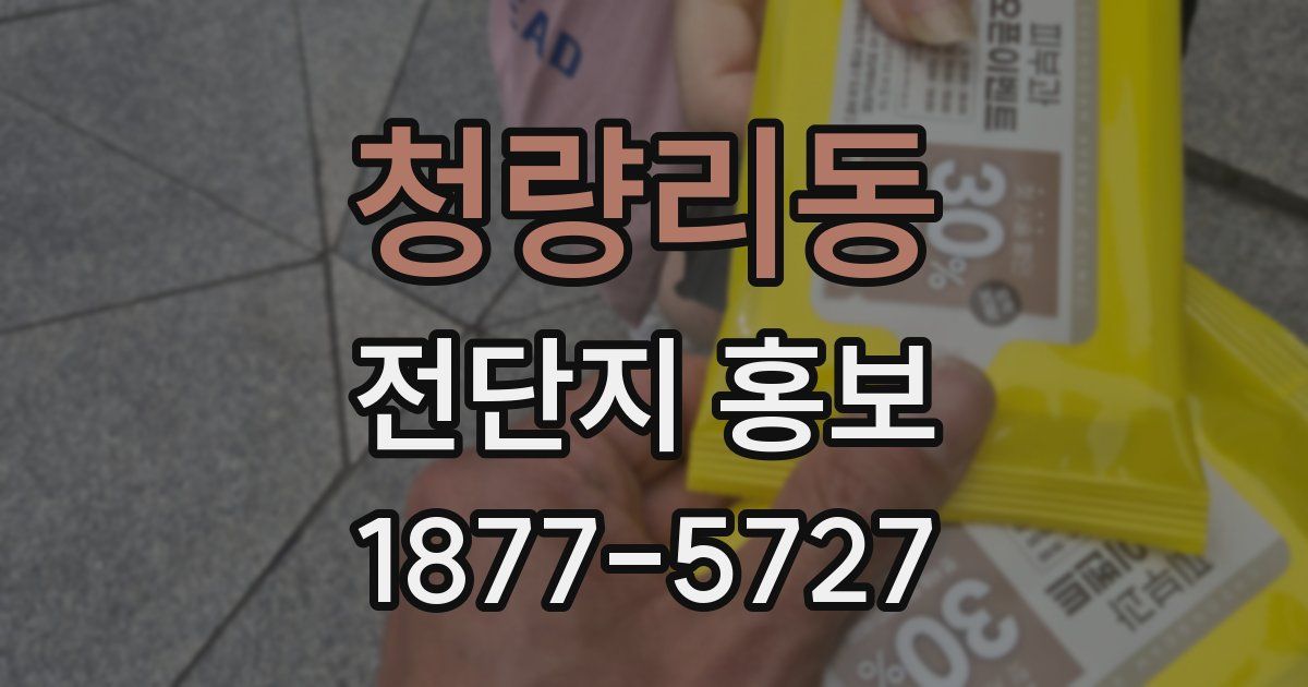 청량리동 전단지 홍보