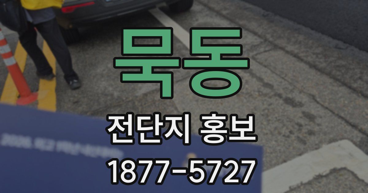 묵동 전단지 홍보