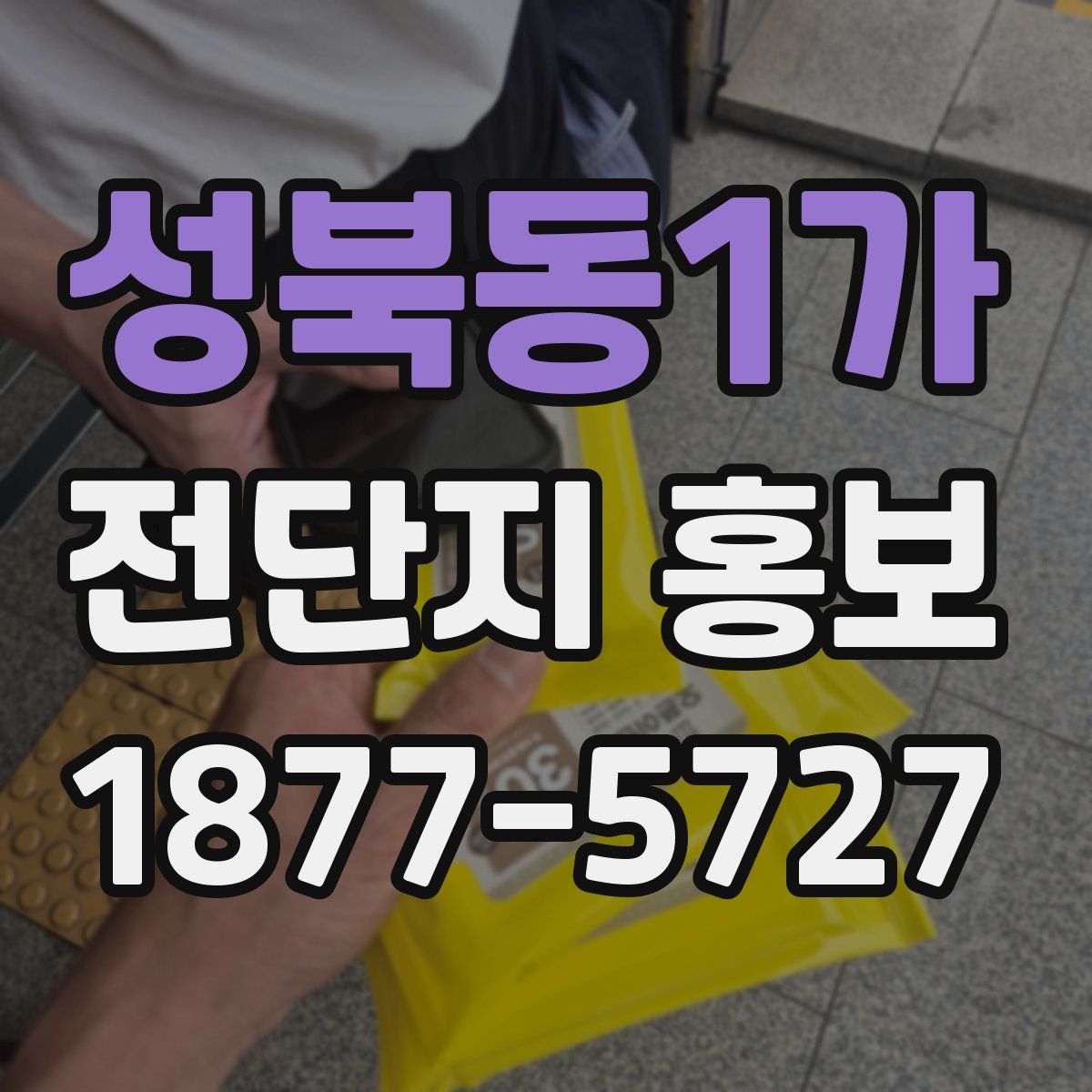 성북동1가 전단지 홍보