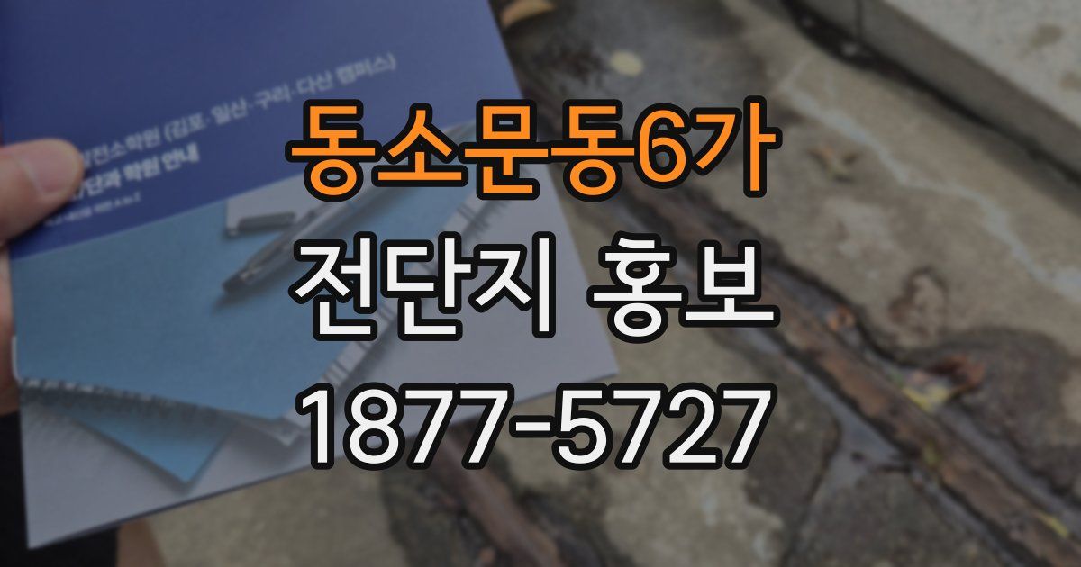 동소문동6가 전단지 홍보