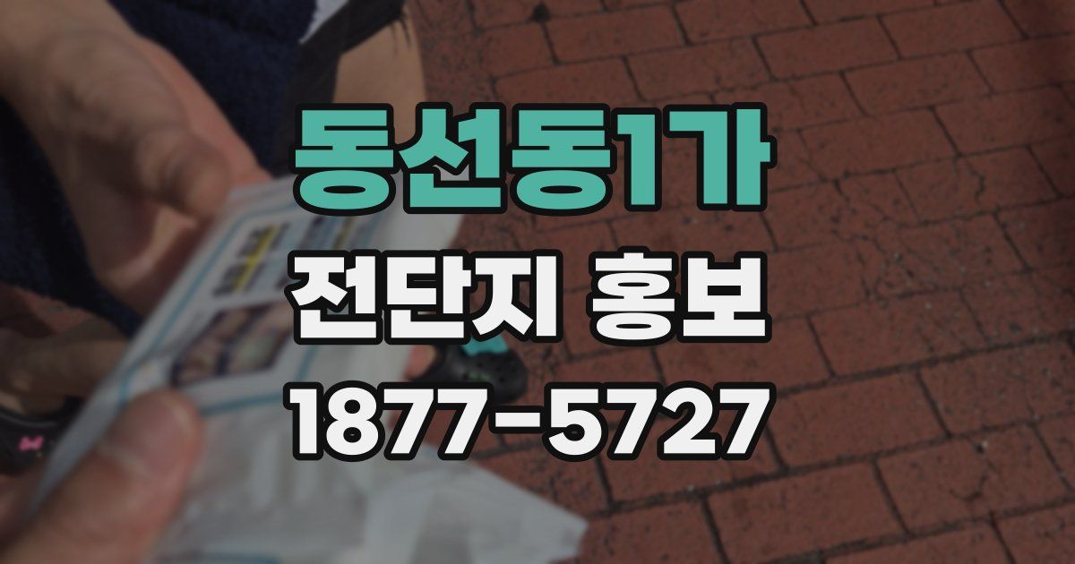 동선동1가 전단지 홍보