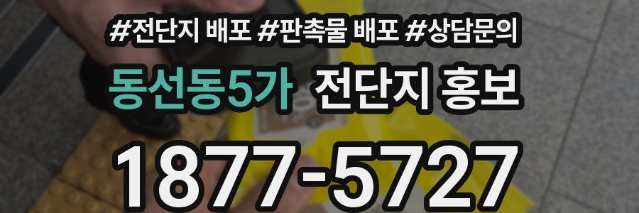 동선동5가 전단지 홍보