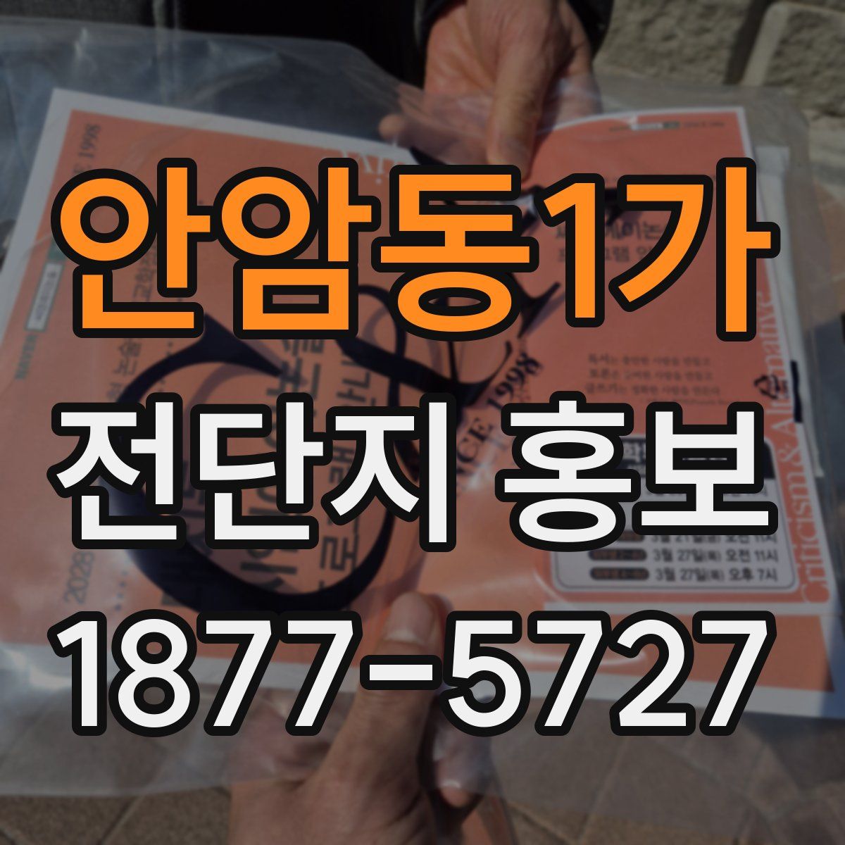 안암동1가 전단지 홍보