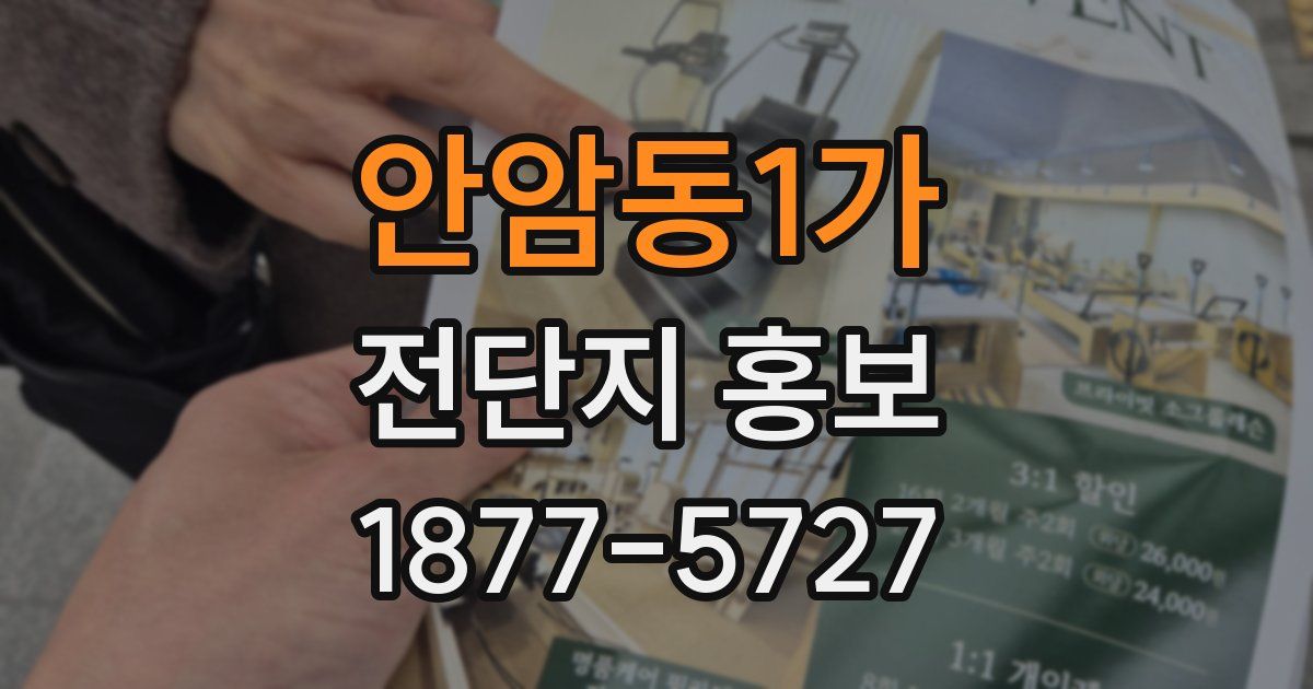 안암동1가 전단지 홍보