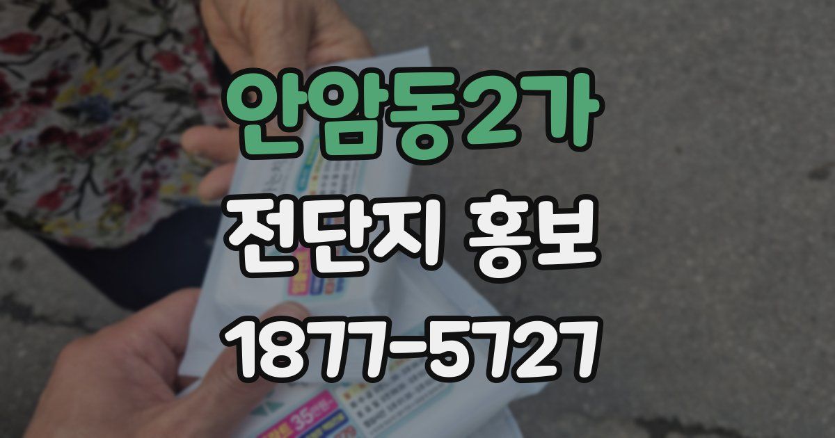 안암동2가 전단지 홍보