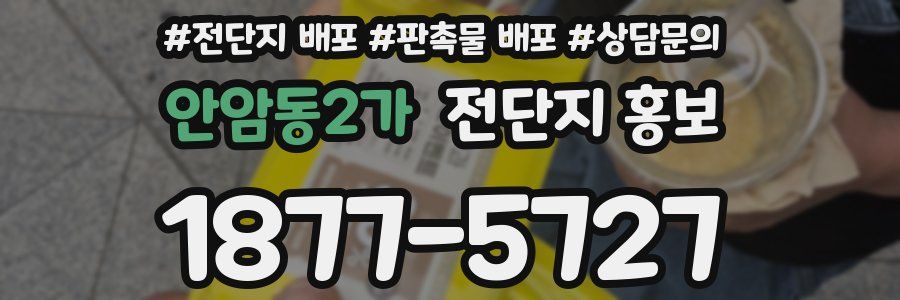 안암동2가 전단지 홍보