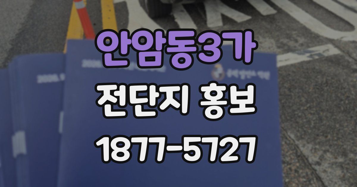안암동3가 전단지 홍보