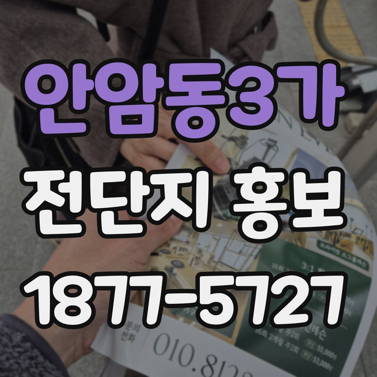 안암동3가 전단지 홍보