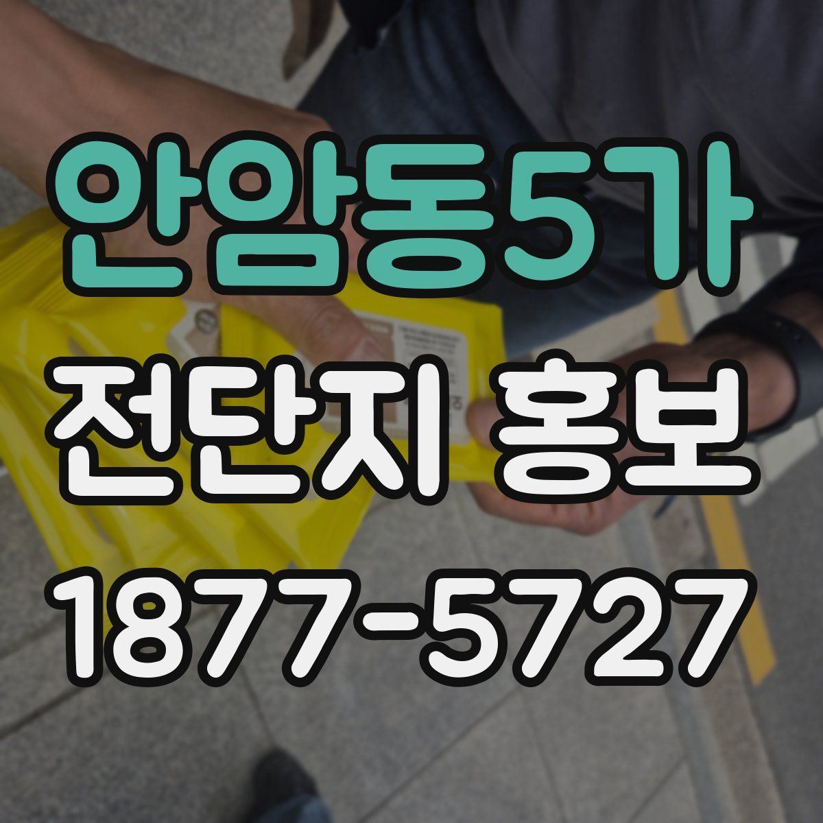안암동5가 전단지 홍보