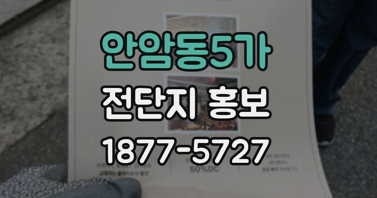 안암동5가 전단지 홍보