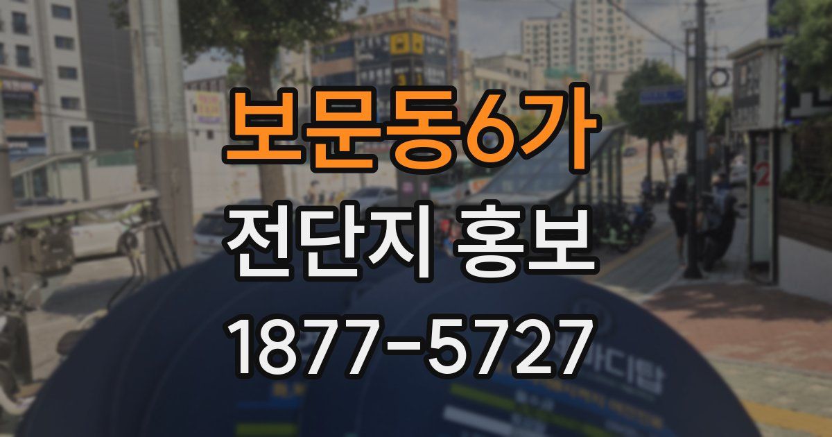 보문동6가 전단지 홍보