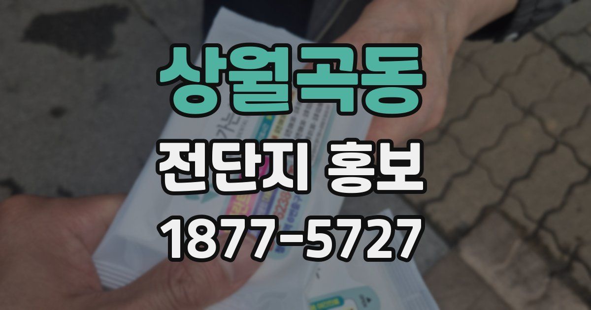 상월곡동 전단지 홍보