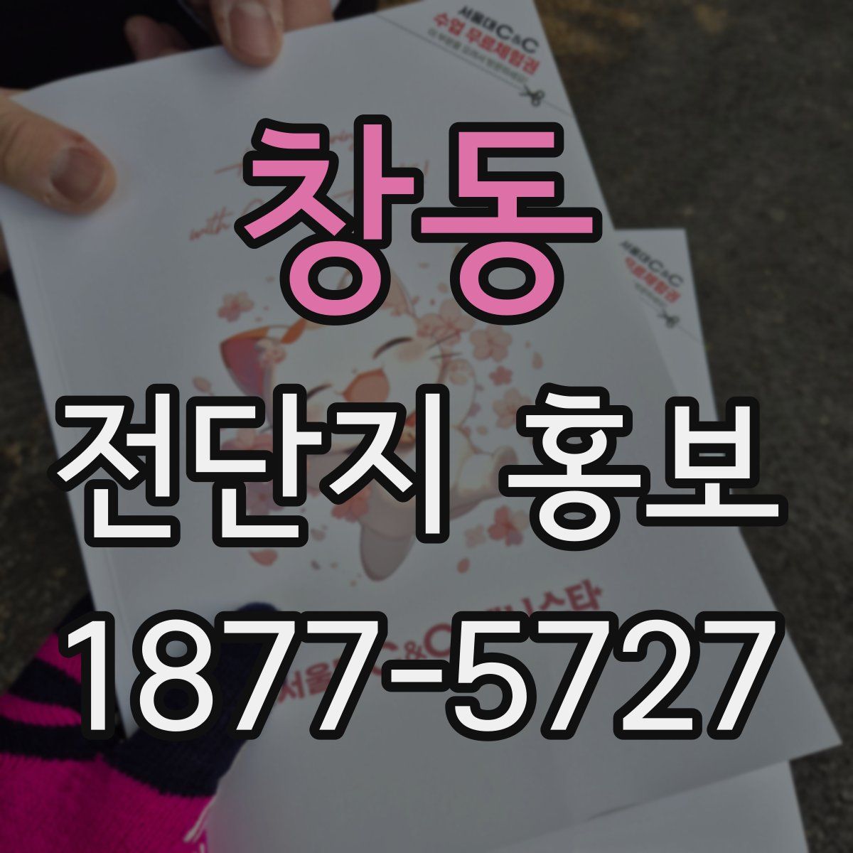 창동 전단지 홍보