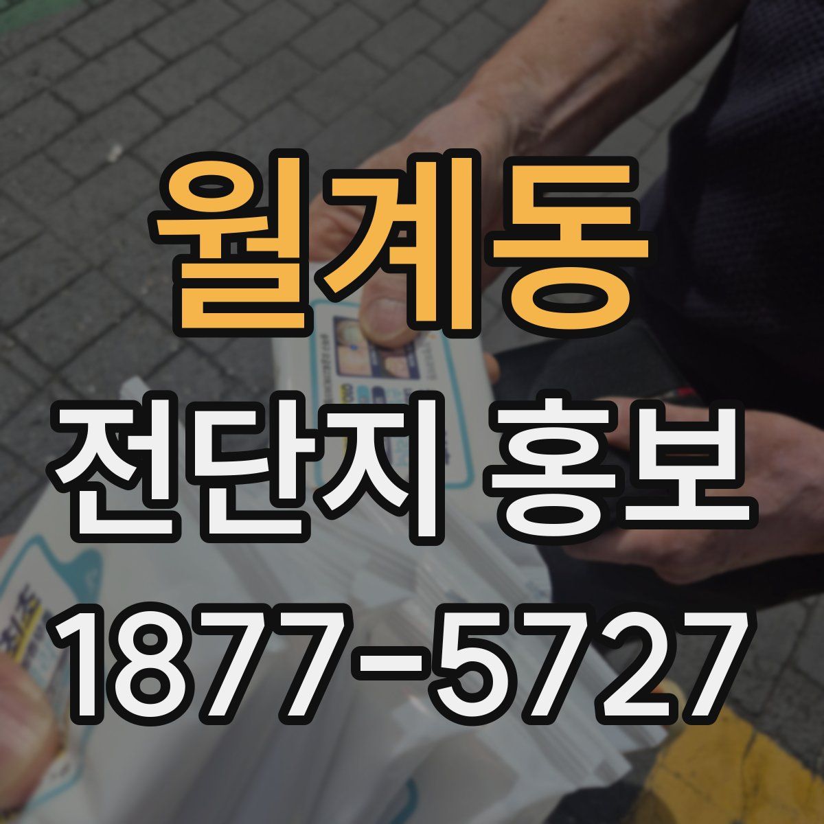 월계동 전단지 홍보