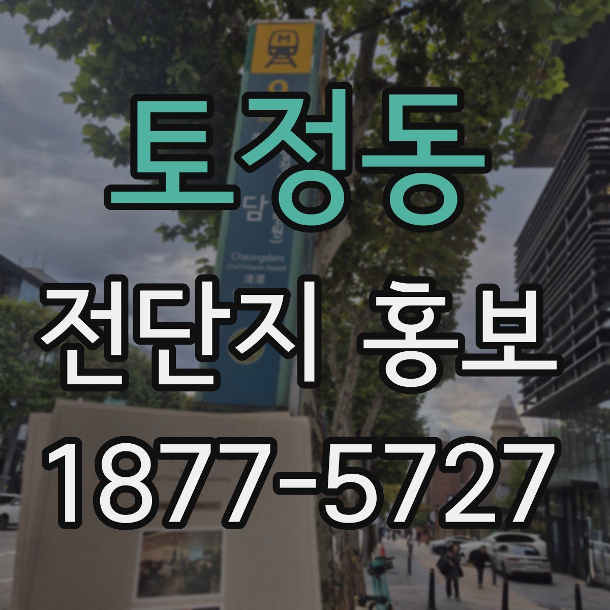 토정동 전단지 홍보