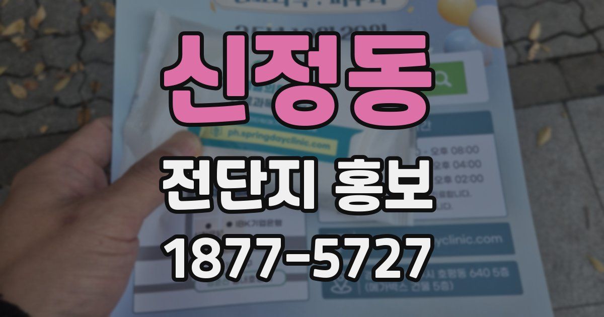 신정동 전단지 홍보