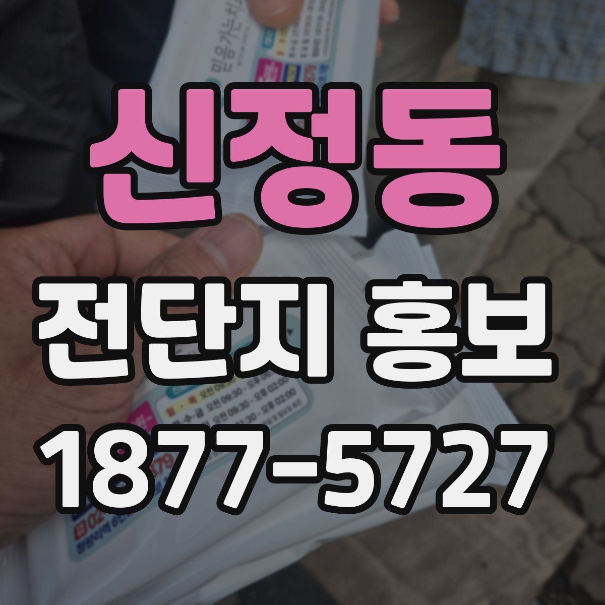 신정동 전단지 홍보
