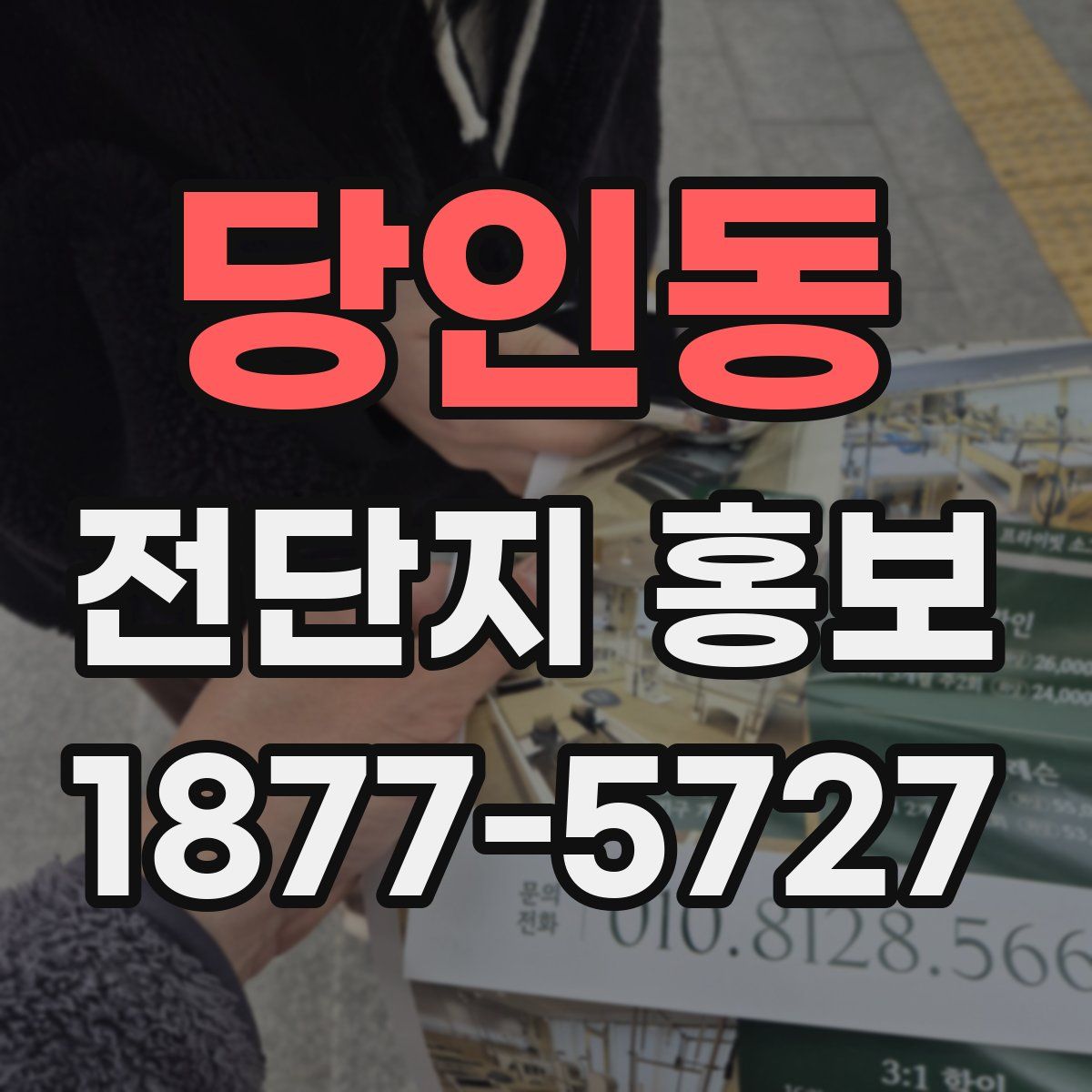 당인동 전단지 홍보