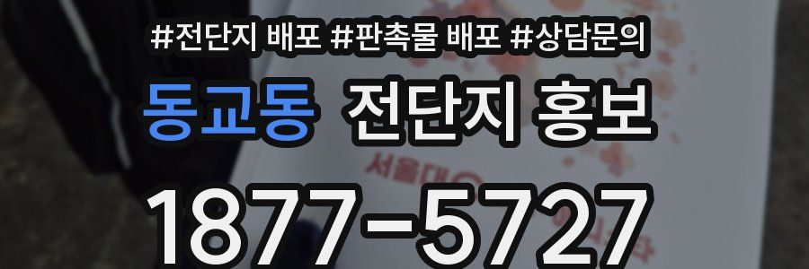 동교동 전단지 홍보