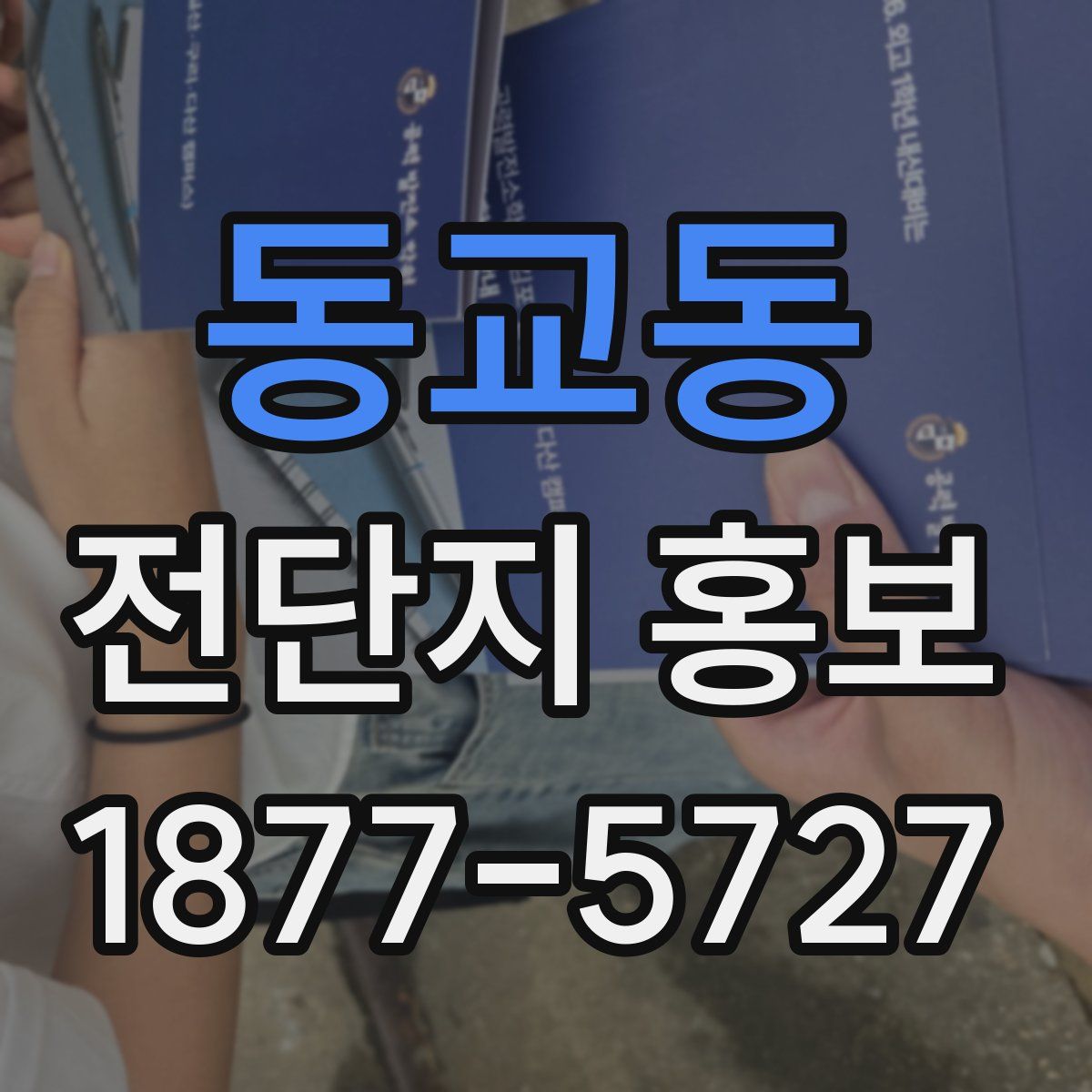 동교동 전단지 홍보